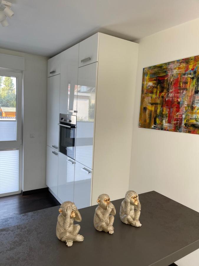 Gemuetliche Villa Am Waldrand In Taunusstein Exteriör bild