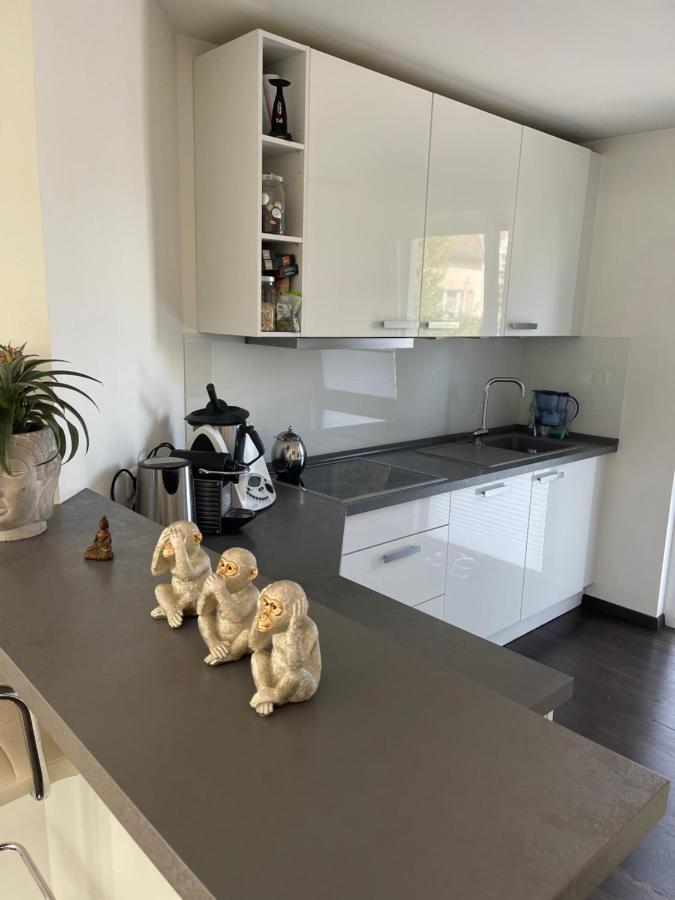 Gemuetliche Villa Am Waldrand In Taunusstein Exteriör bild